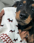 Close-up of a black and tan dachshund puppy held next to The Dachshund Grip Sock, showing the all-over dachshund print