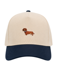 The Doxie Hat