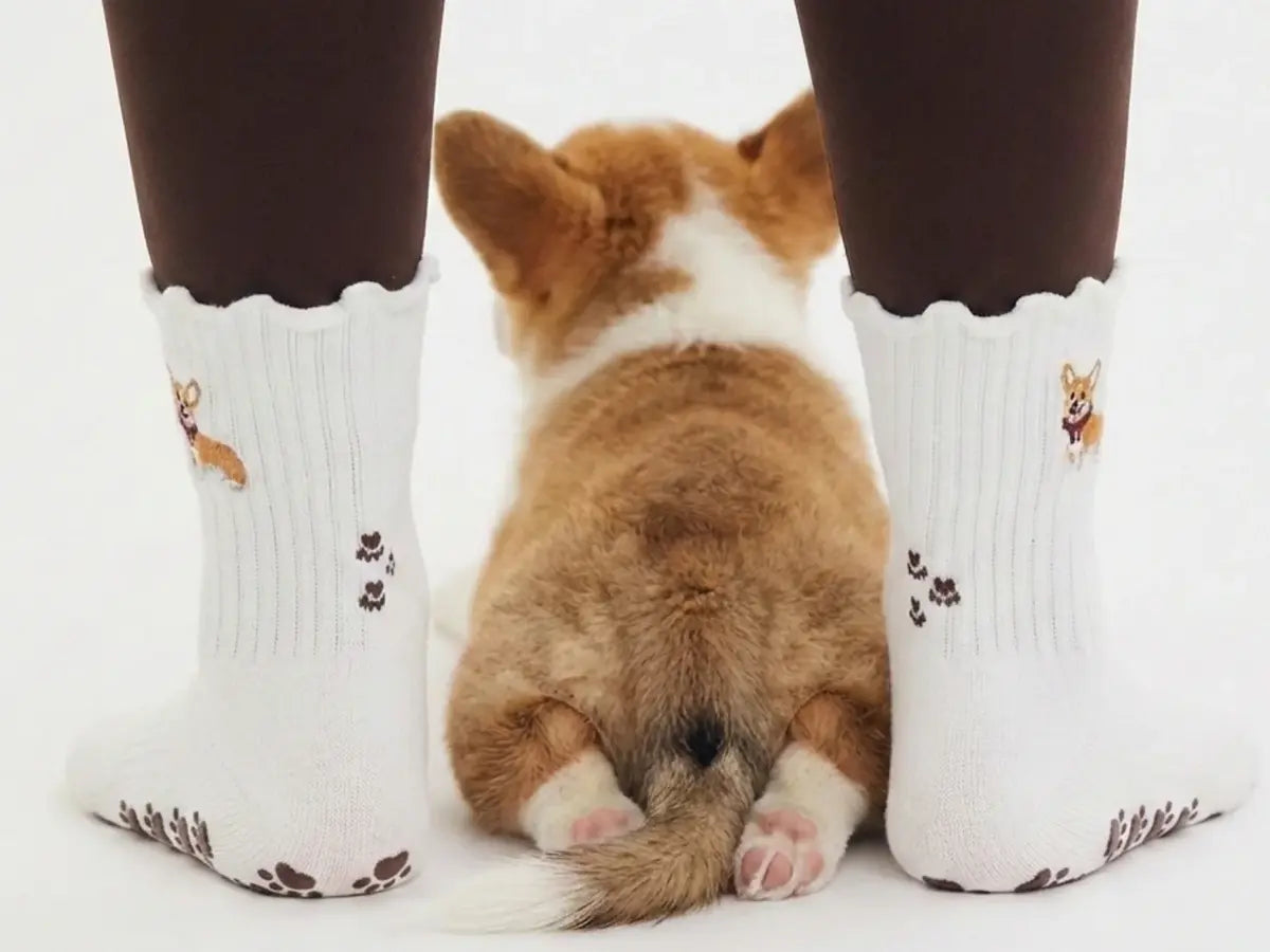 Best Furry Friends