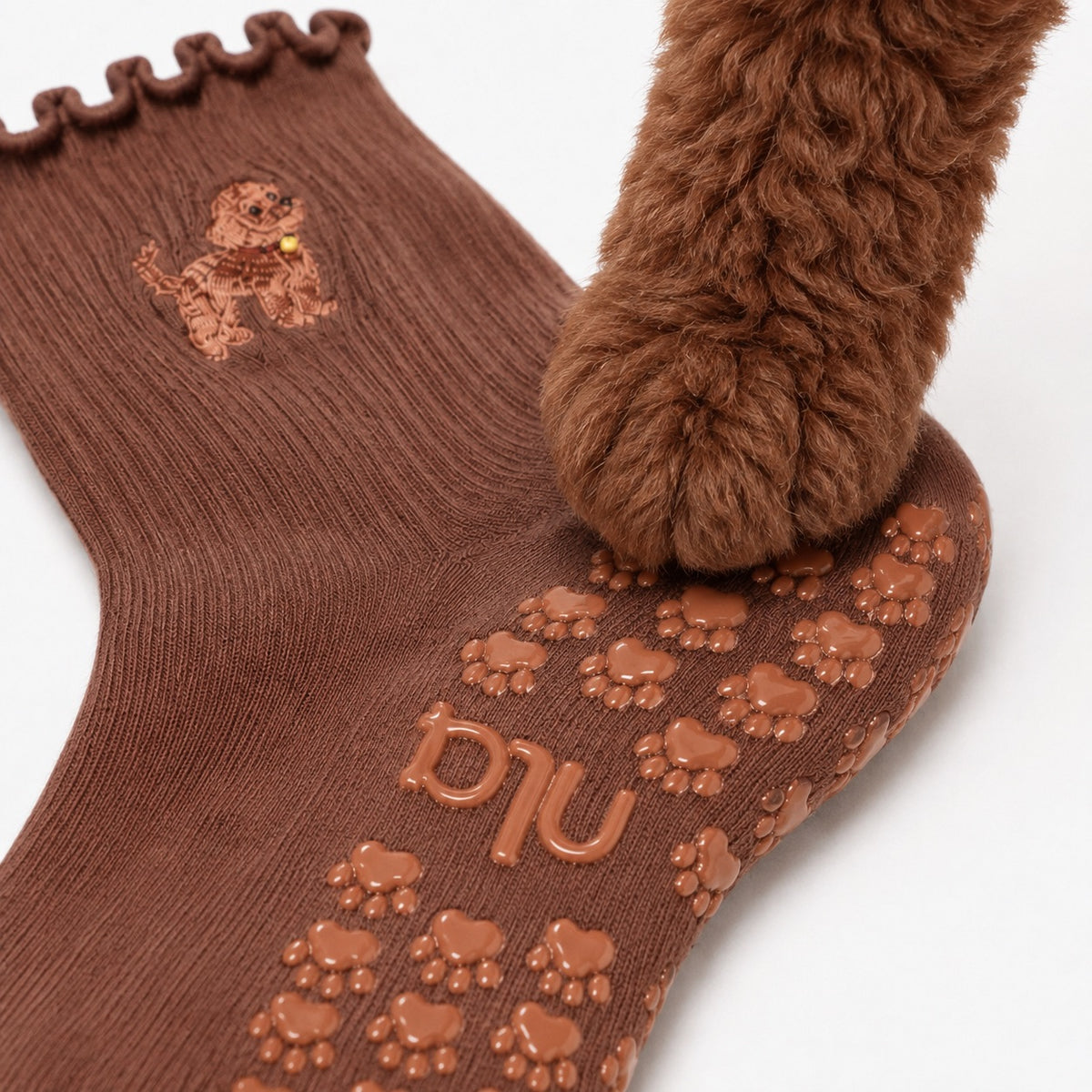 A real golden doodle's paw resting on the paw-print grip sole of The Doodle Grip Sock, showing the embroidered dog design on the cuff