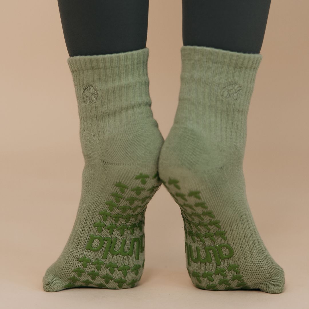 Matcha 3-Pack Bundle