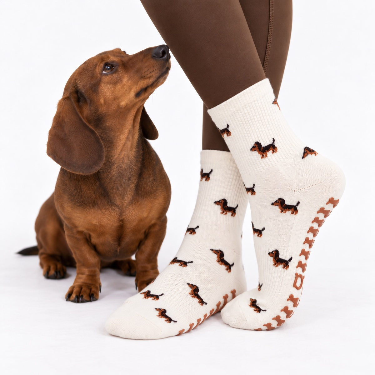A real dachshund sitting beside a model's feet wearing The Dachshund Grip Sock, showing the all-over dachshund print and dachshund-shaped grip soles