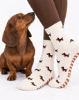 A real dachshund sitting beside a model's feet wearing The Dachshund Grip Sock, showing the all-over dachshund print and dachshund-shaped grip soles