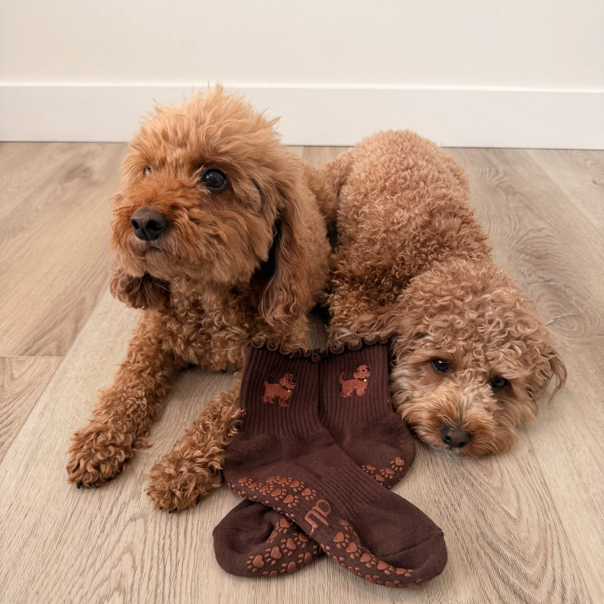 Two golden doodles lying on a wood floor next to a pair of The Doodle Grip Sock, showing the embroidered doodle design and paw-print grip soles