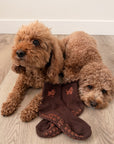 Two golden doodles lying on a wood floor next to a pair of The Doodle Grip Sock, showing the embroidered doodle design and paw-print grip soles