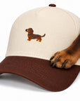 Dachshund paw resting on the brim of The Doxie Brown Hat, close up of the embroidered dachshund