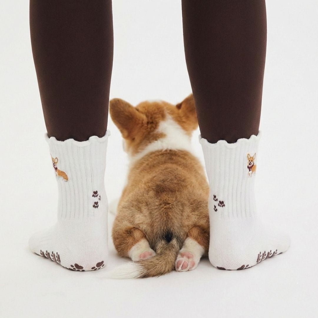 Corgi – Almla Active