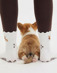 Corgi