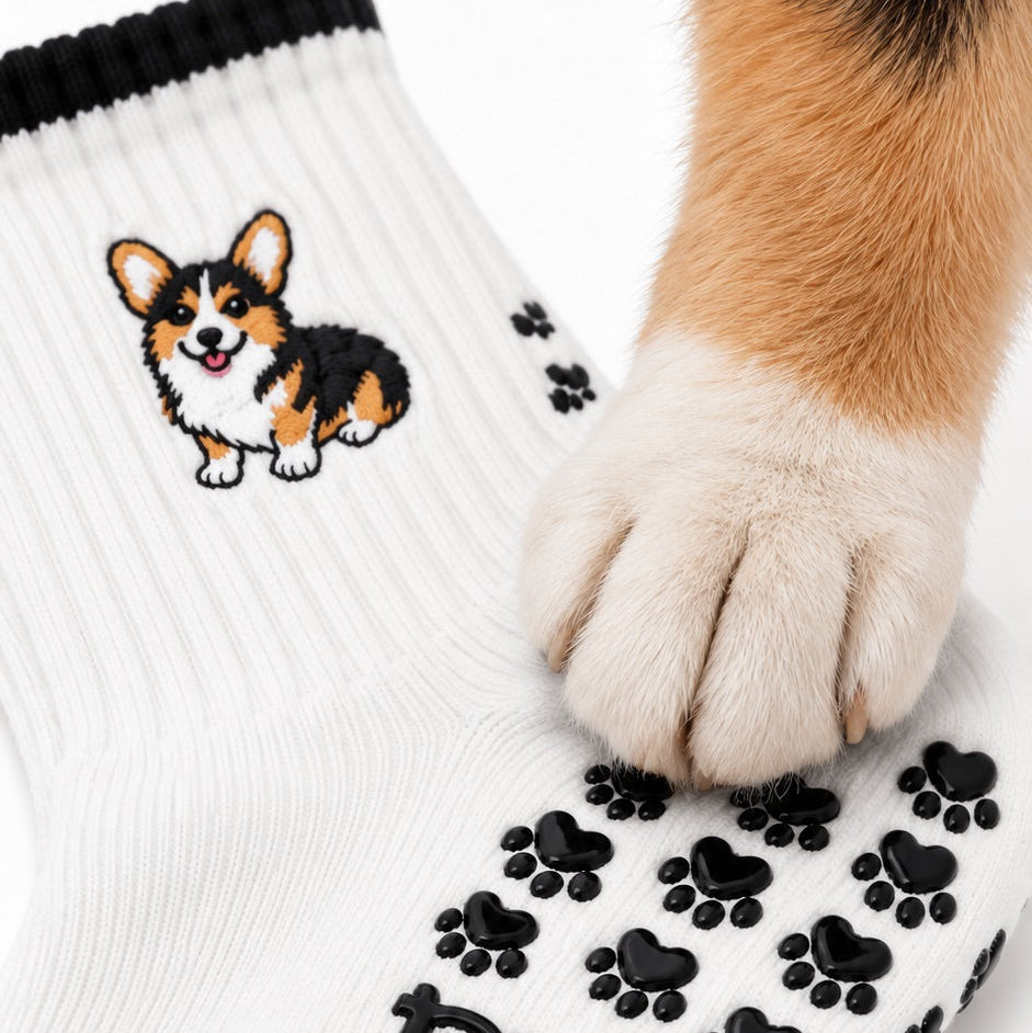 A real corgi's paw resting on the paw-print grip sole of The Tri Color Corgi Grip Sock, showing the embroidered corgi design