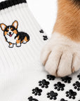 A real corgi's paw resting on the paw-print grip sole of The Tri Color Corgi Grip Sock, showing the embroidered corgi design