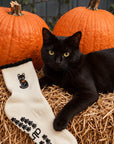 Black Cat Grip Sock on a hay bale next to a black cat and orange pumpkins, a Halloween grip sock gift for cat lovers