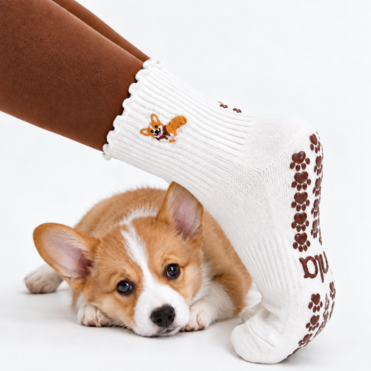 Corgi puppy lying down with its head resting under a foot wearing the Corgi grip sock in oat milk with ruffle cuff, embroidered corgi design, and brown paw print grip sole