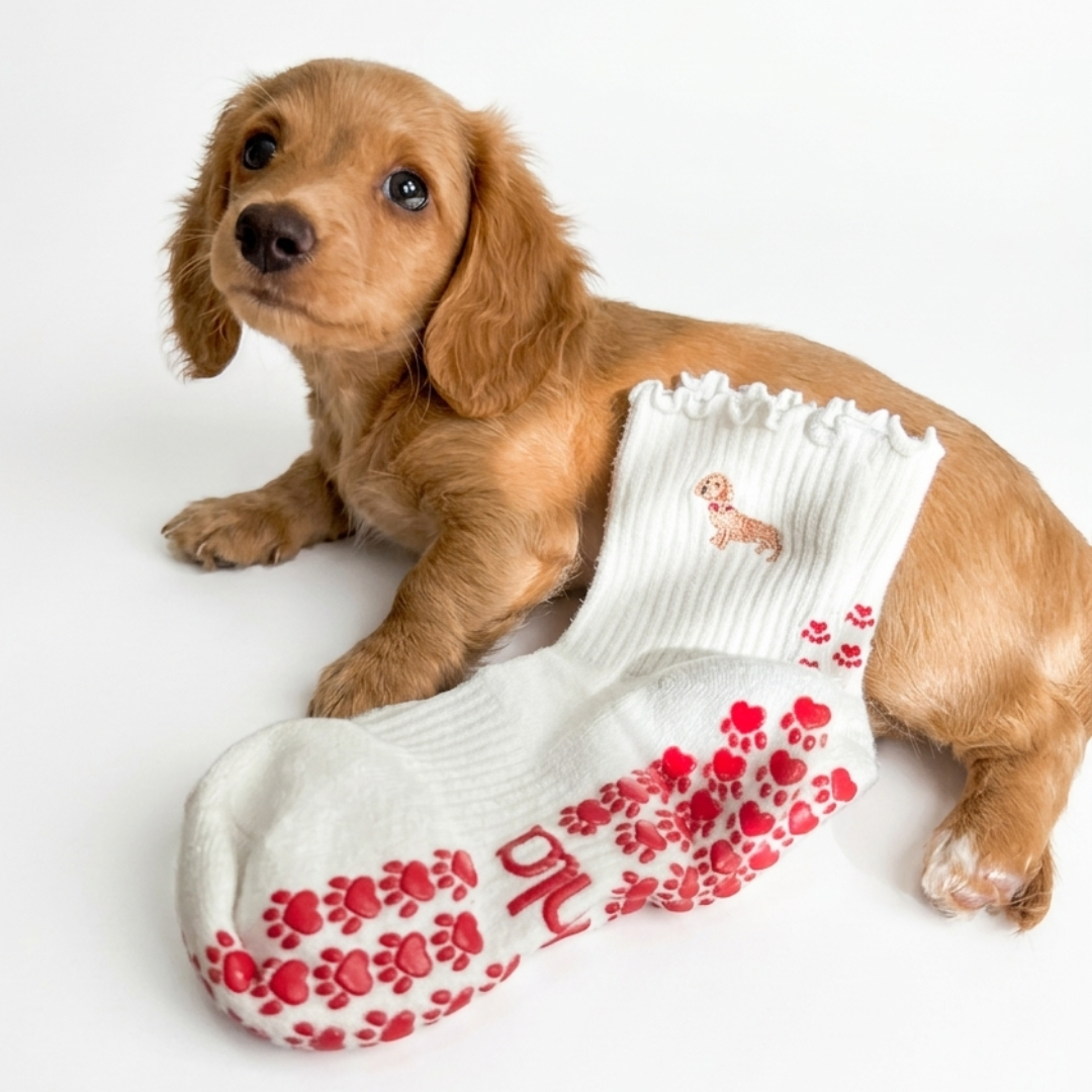 The Doxie Grip Sock