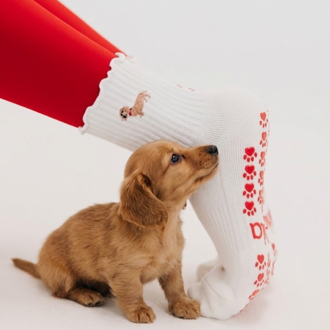 The Doxie Grip Sock